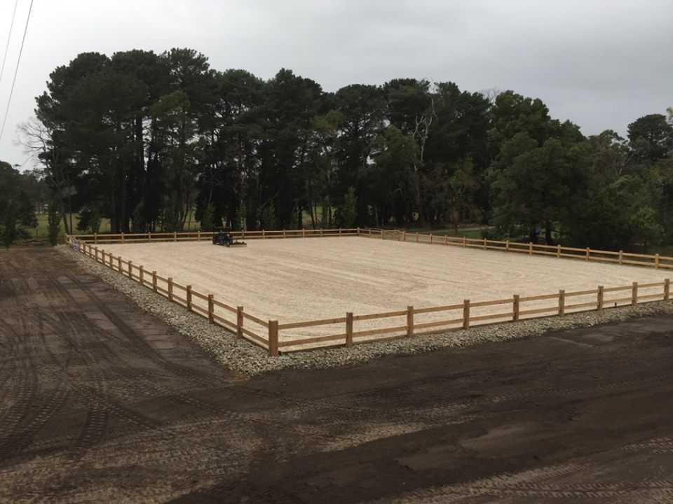 11235446_850376988382523_4540005536279491993_n