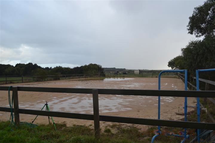 Before sand arena rennovation